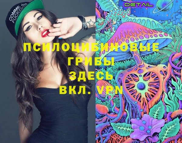 МДПВ Струнино