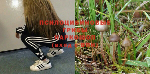МДПВ Строитель