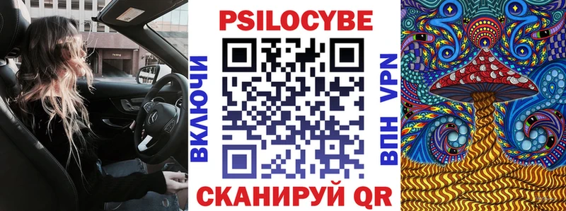 купить цена Чернушка Галлюциногенные грибы Psilocybine cubensis