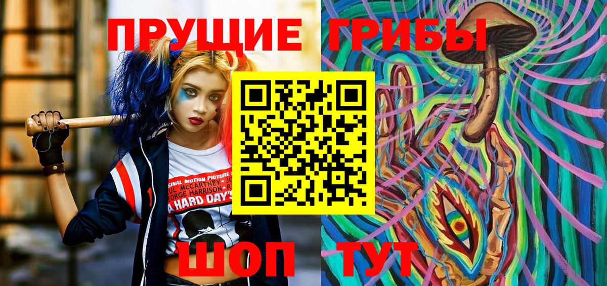 Галлюциногенные грибы Psilocybe Чернушка