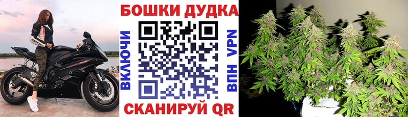 Бошки Шишки семена дарнет шоп Чернушка
